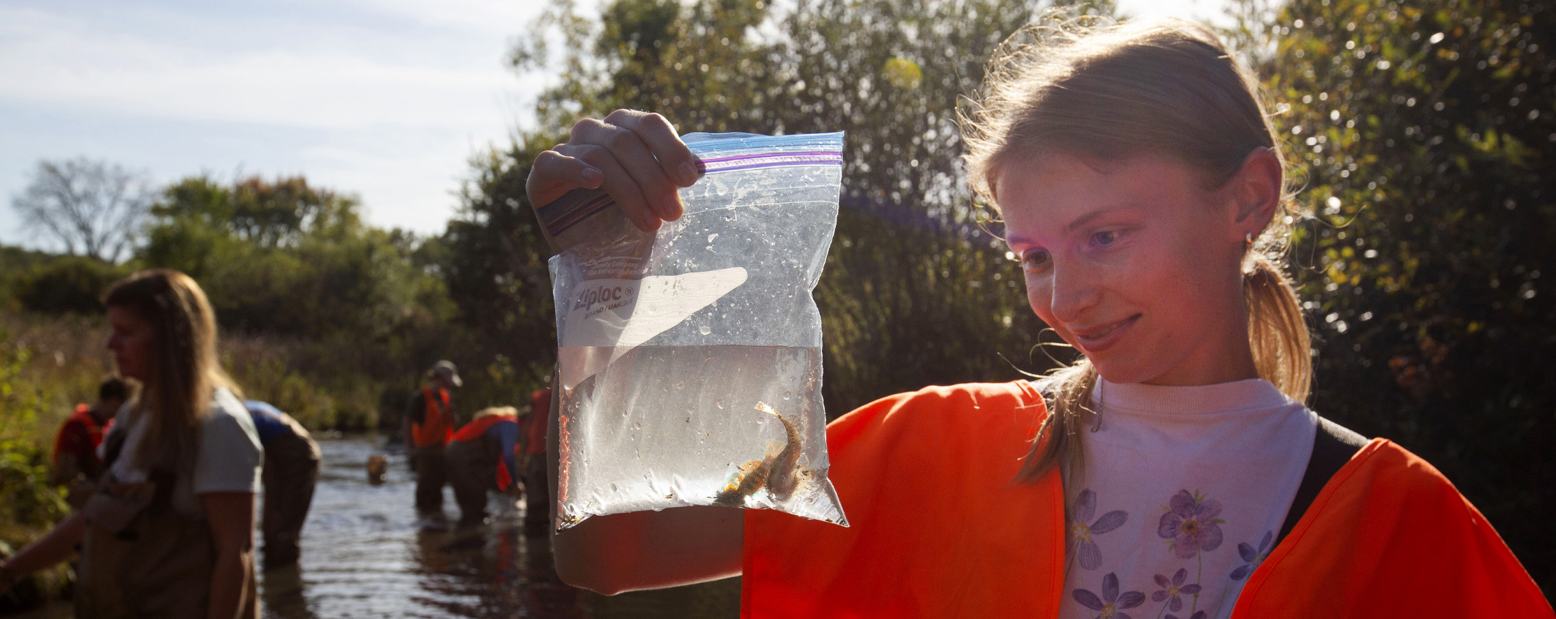 Young woman holds plastic bag of aquatic animals in a marsh.