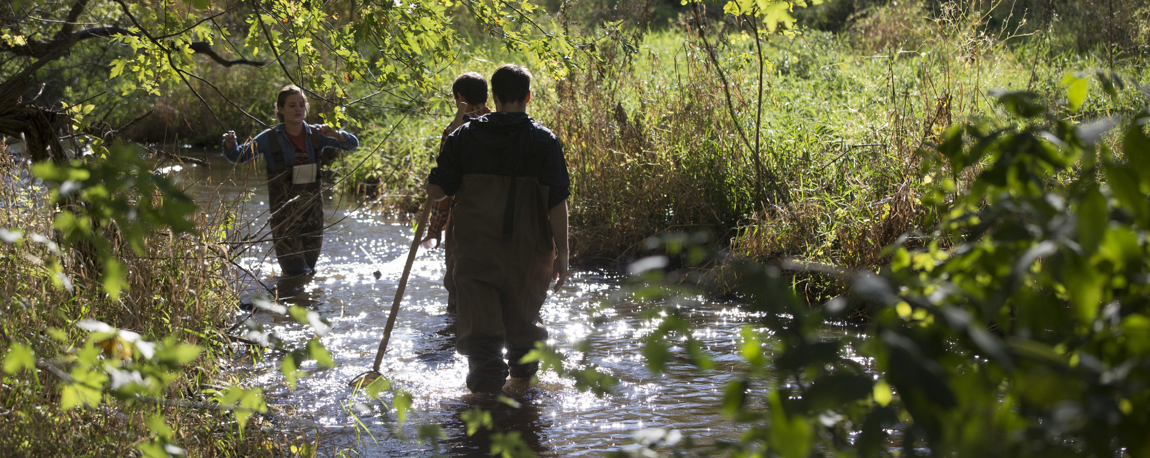 Three students standing in a stream surrounded by trees.