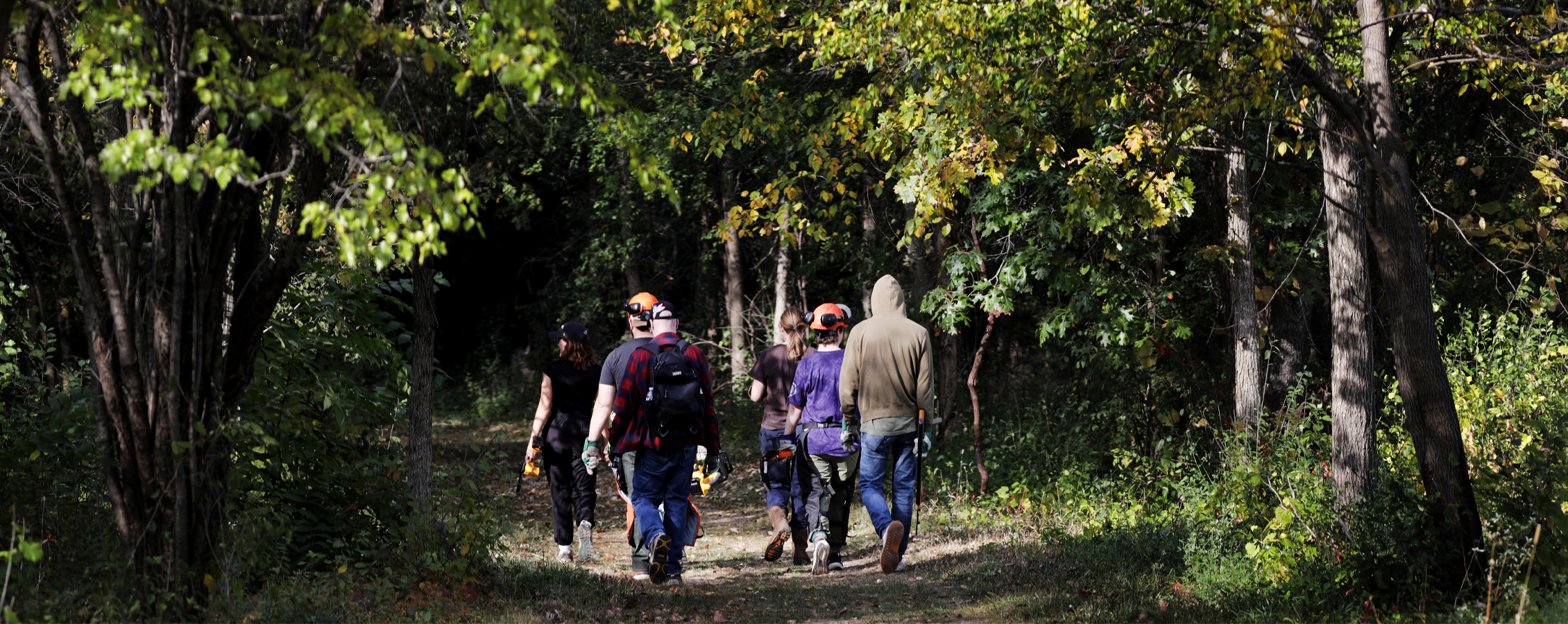 A group of people walk into a forest and some are wearing orange hard hats.