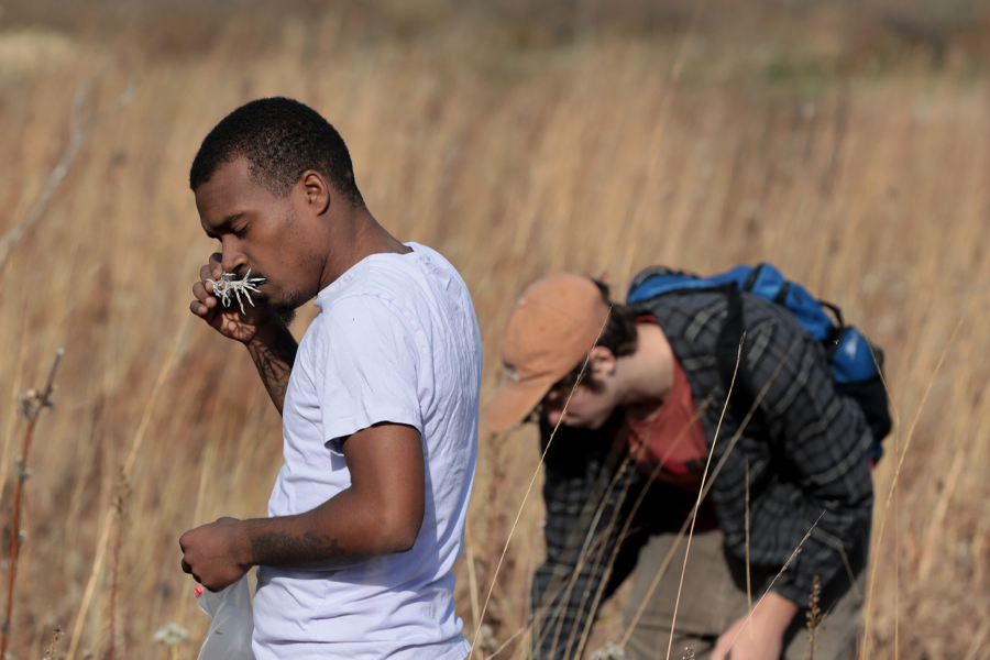 A student stands in the prairie among tall grasses.