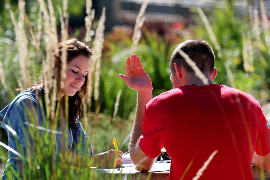 Two students study outside.