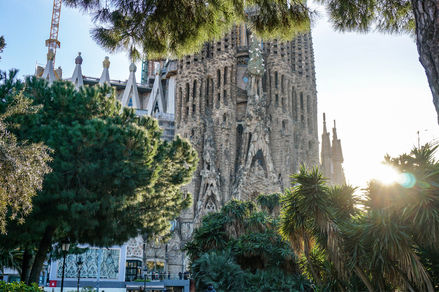 Sagrada Familia surrounded by trees.