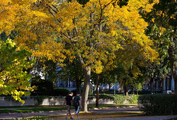 Students walking down Prarie Street