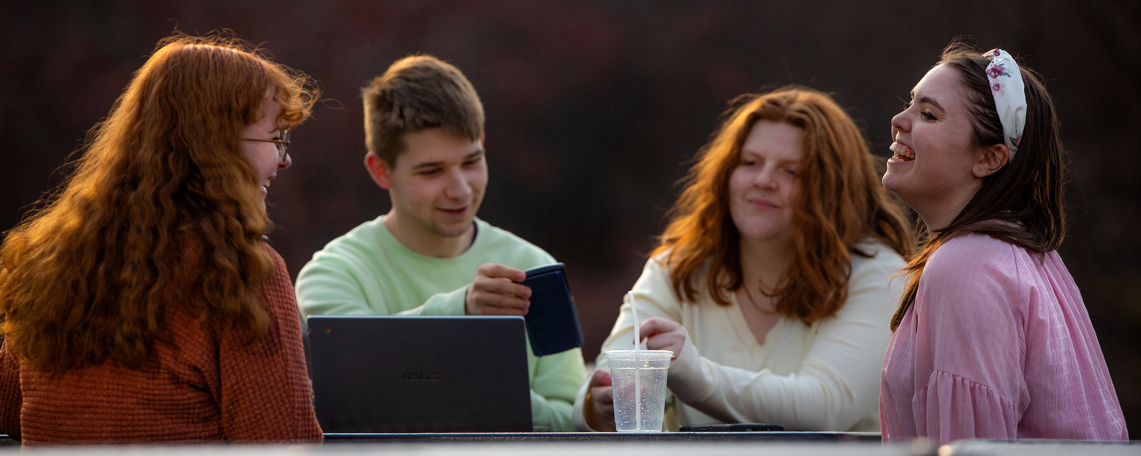 Students studying and laughing outdoors