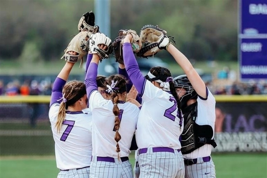 Softball Camps