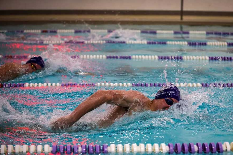 UWW Swimmers performing the forward crawl.