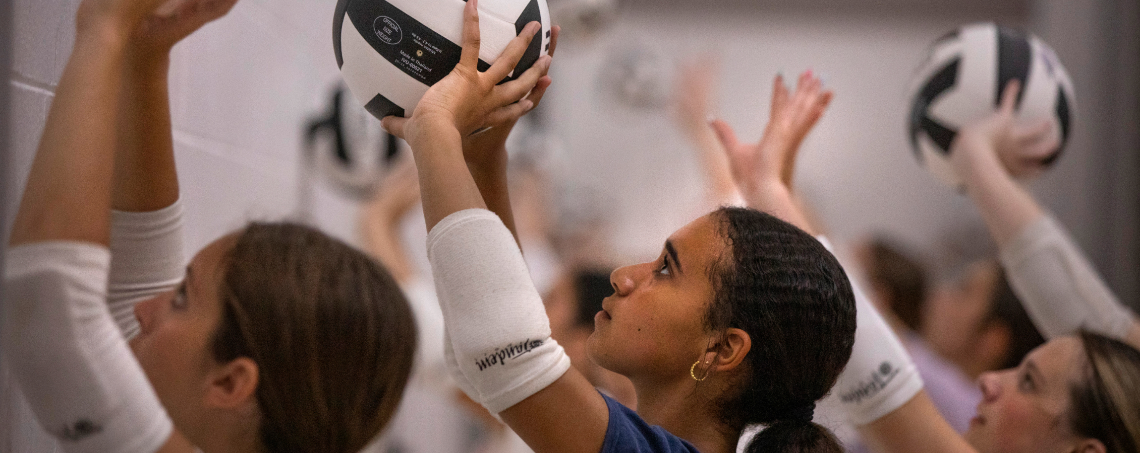 Volleyball