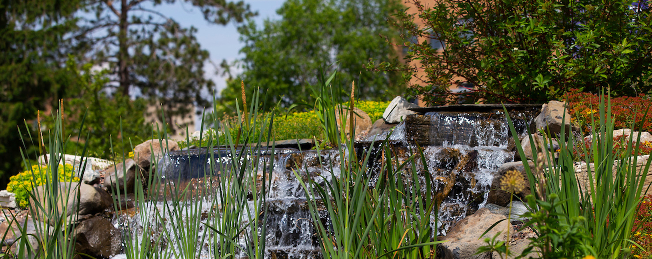 Garden and Landscape