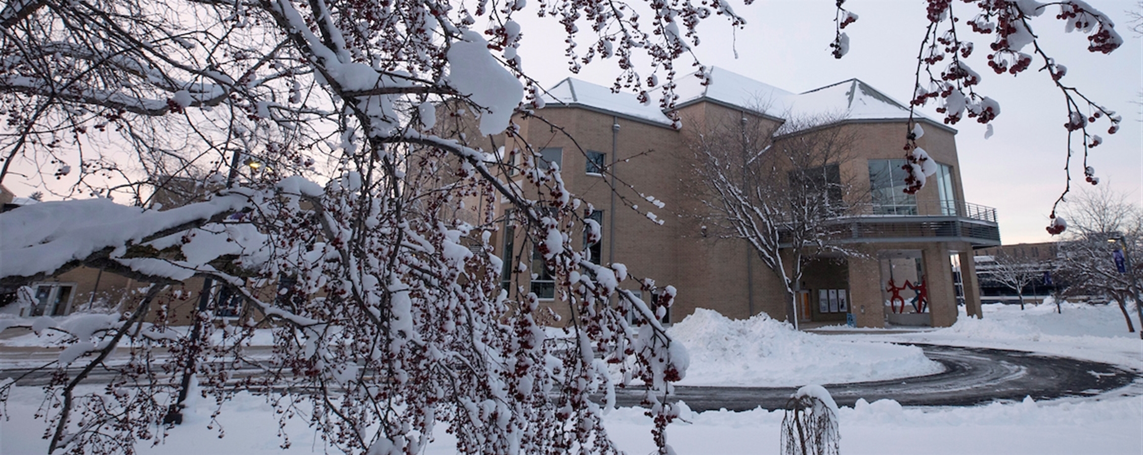 Snow covered The Young