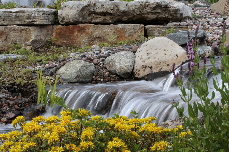 Water flows over rocks with flowers in the foreground.