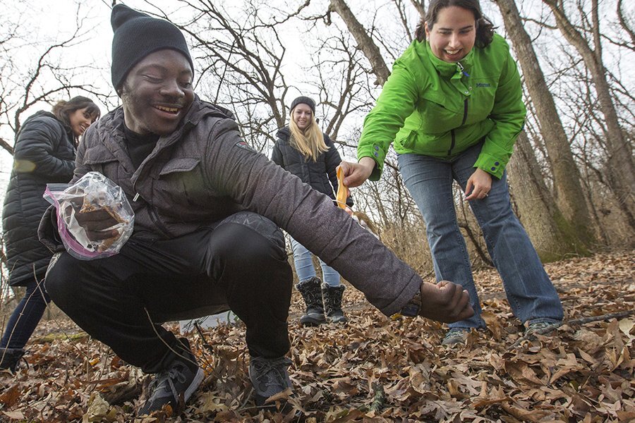 Students kneel on a path of leaves.