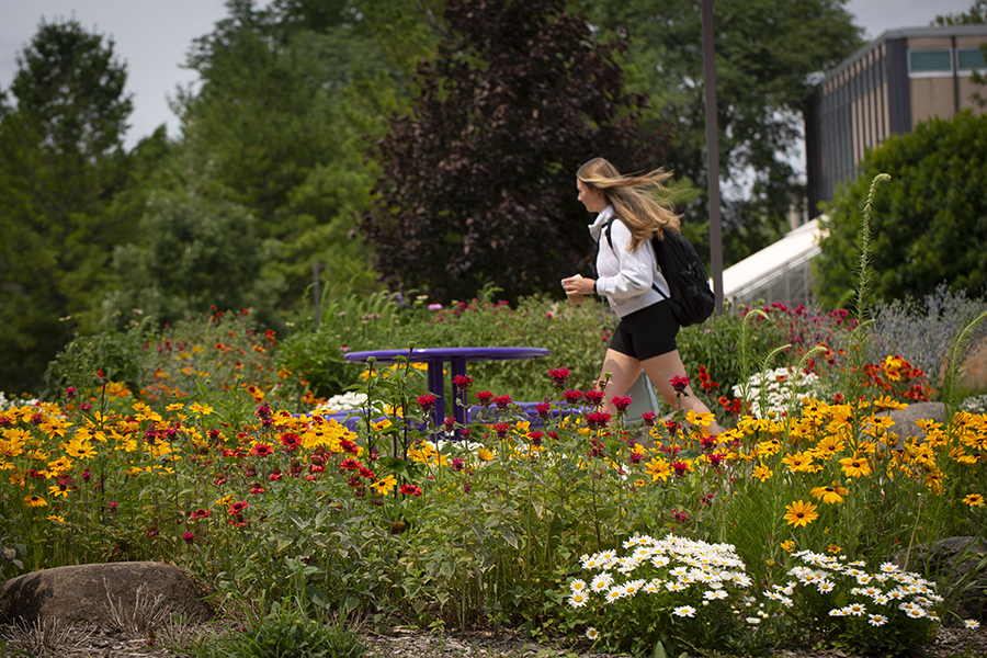 A student walks through a garden with colorful flowers.