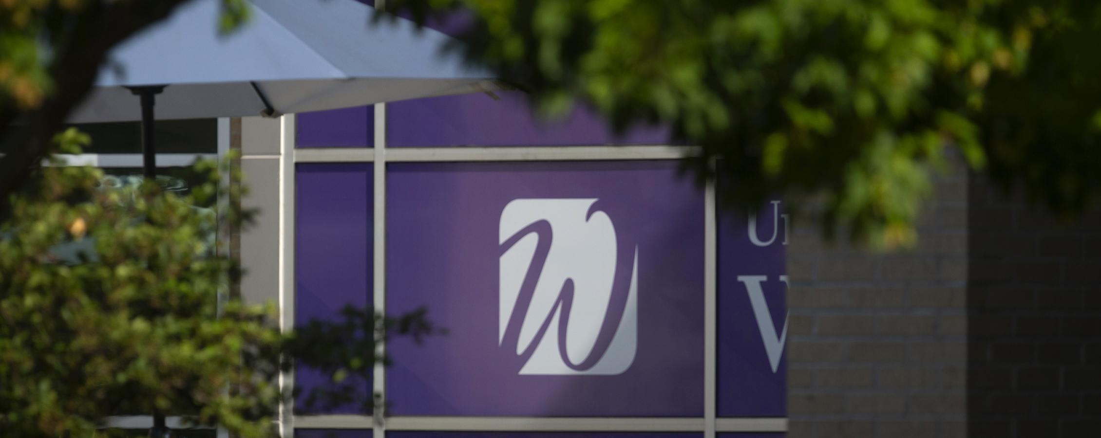 A cursive W is shown on a purple window banner through trees in the foreground.