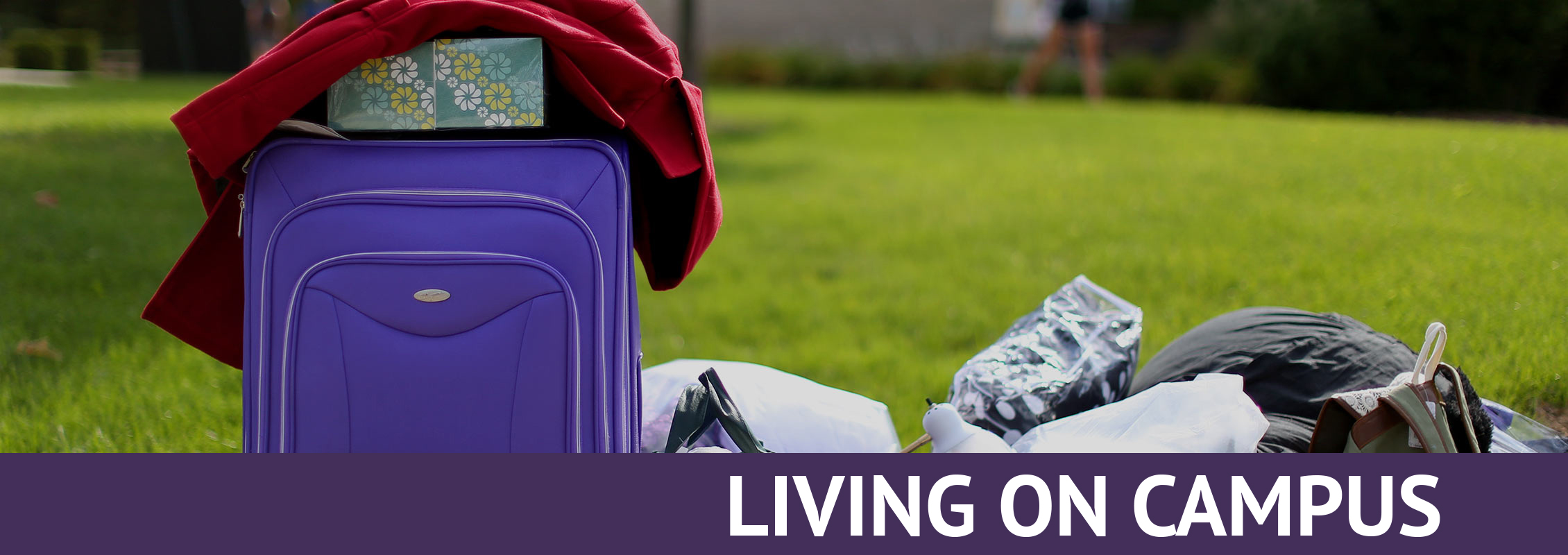 Living on Campus: A pile of luggage on a sidewalk