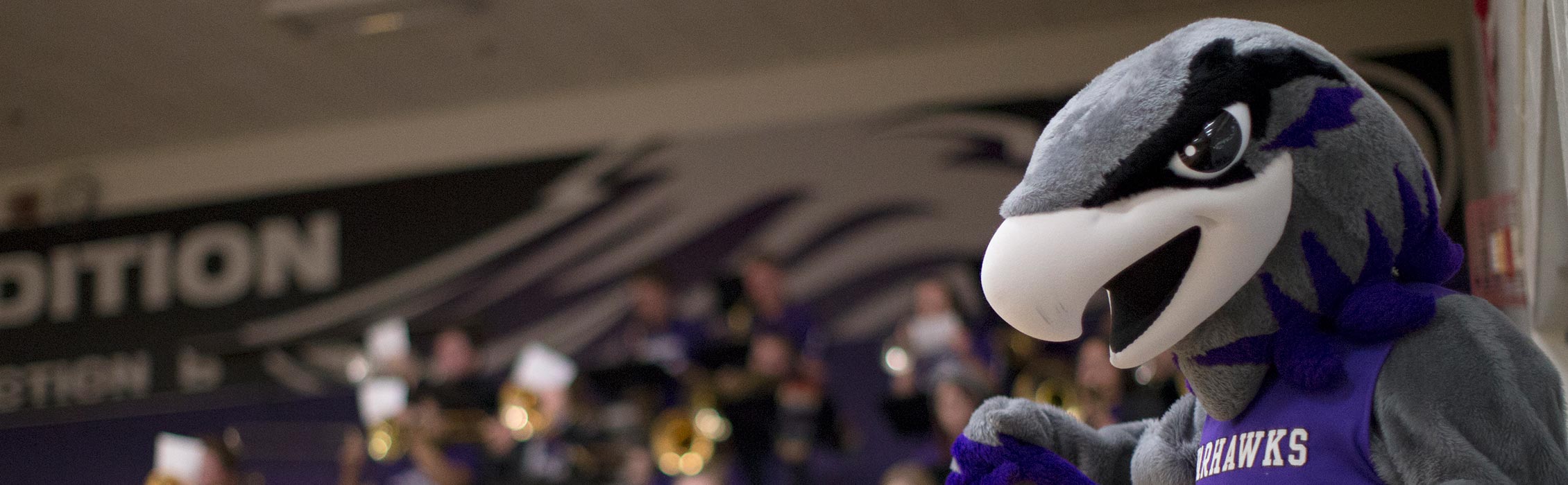 Willie Warhawk at a UW-Whitewater football game