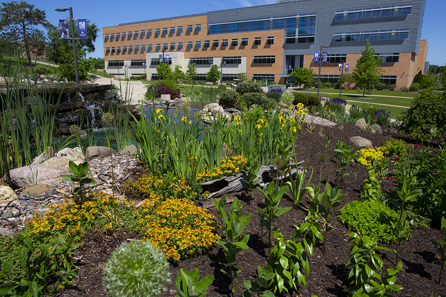 A garden full of spring flowers by Hyland Hall.