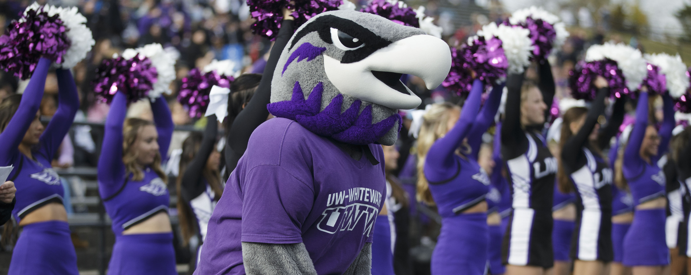 Willie Warhawk with the cheer and dance team.