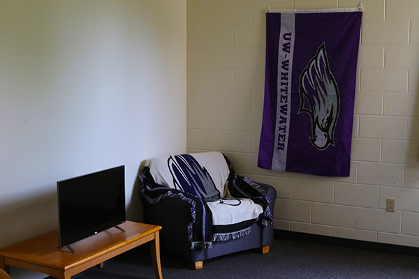 A living room with a table, a tv, an armchair and a flag inside of it.