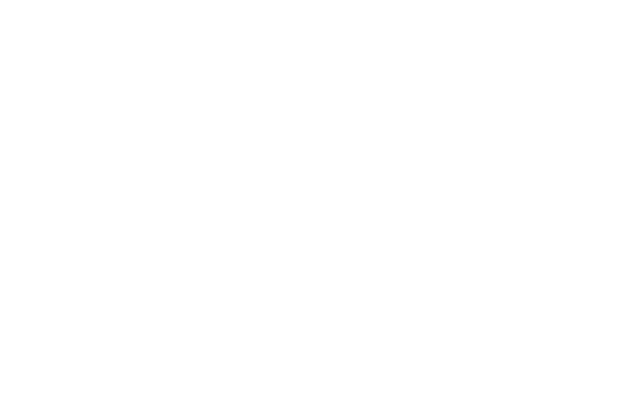 Icon of a person pointing at a whiteboard.