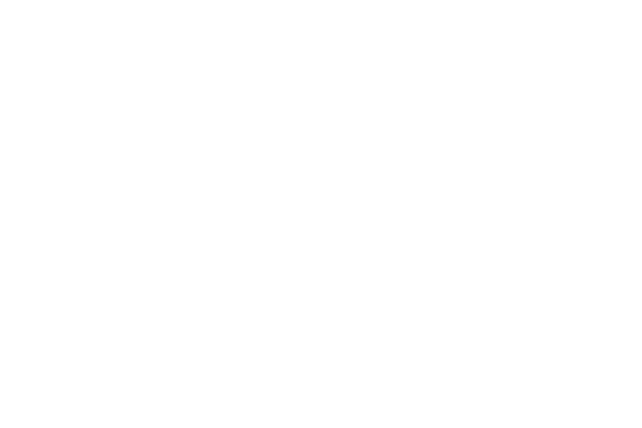 Icon depicting a network of people.