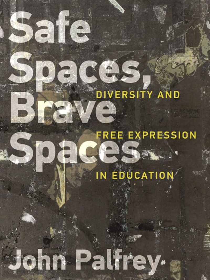 Safe Spaces, Brave Spaces