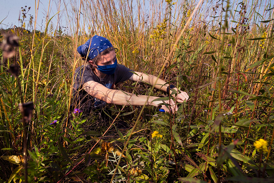 Sustainability efforts win UW-Whitewater national recognition