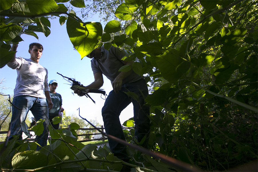 Three people look through brush in a wooded area.