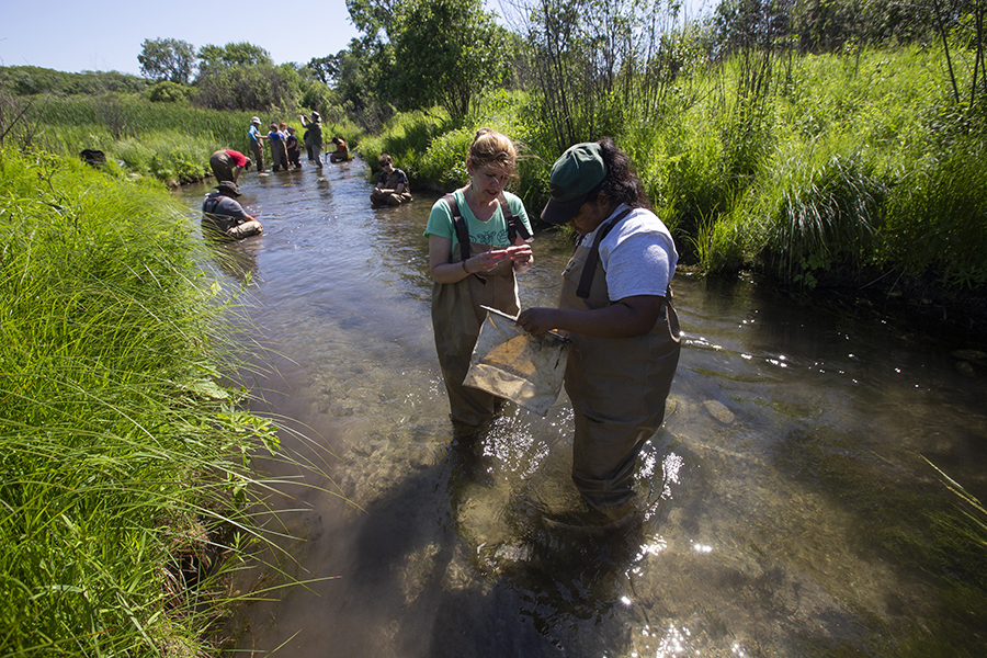 A faculty member and students work in a river.