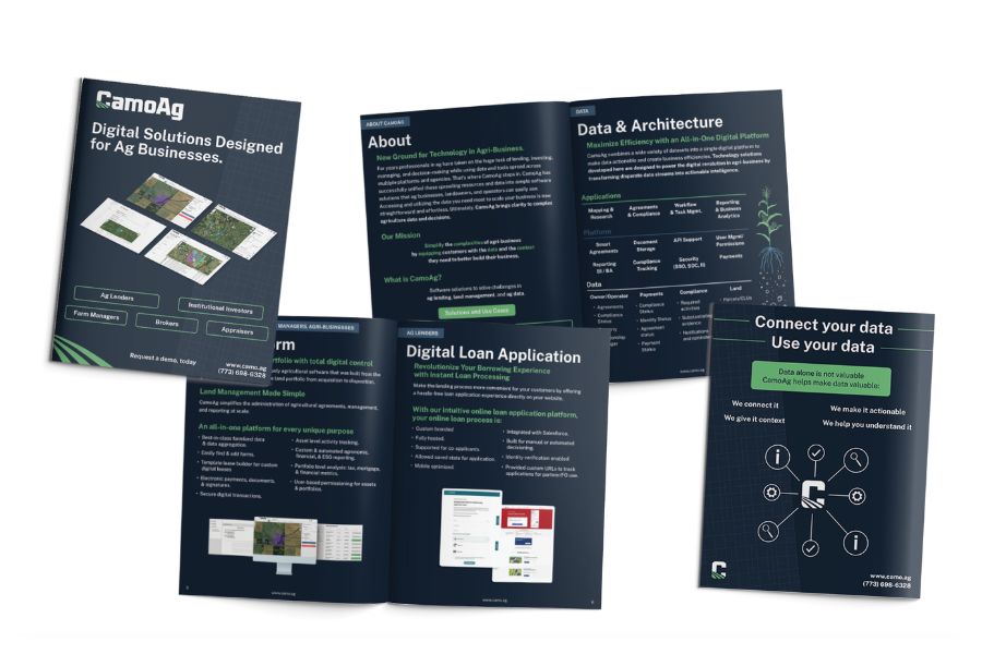 Materials produced by Cally Jacque during her professional career. (Screen shot from callyjacque.com). 