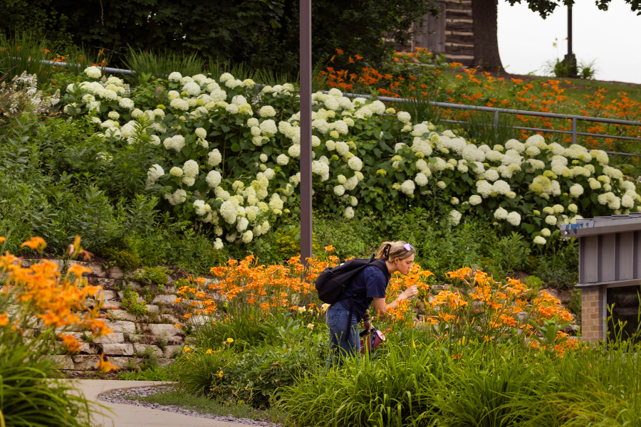 Students smells flowers.