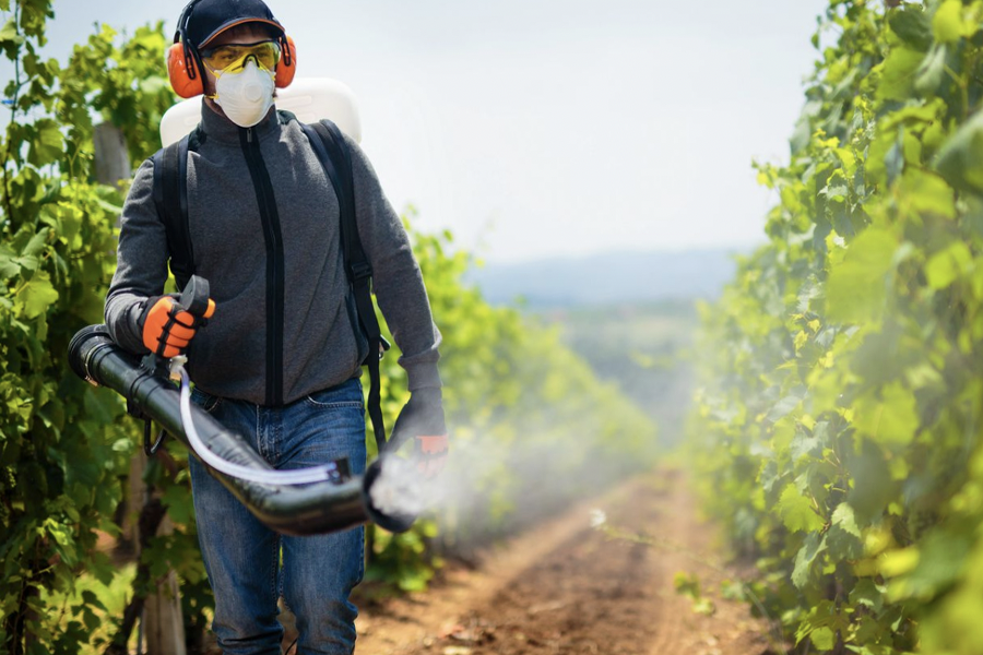 person spraying plants