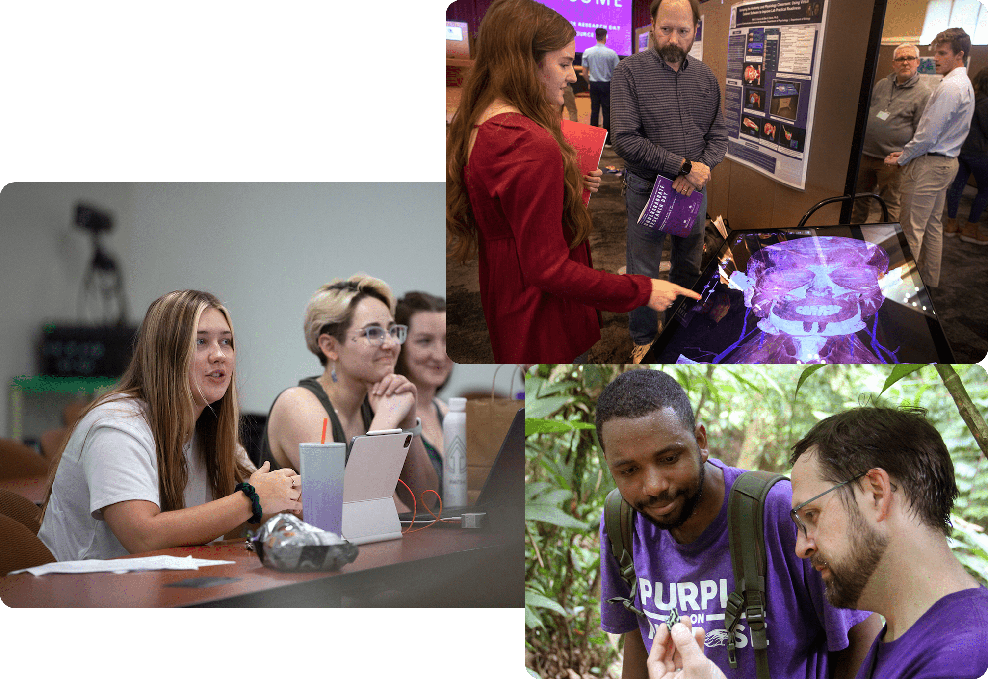 Three photos of students doing research work