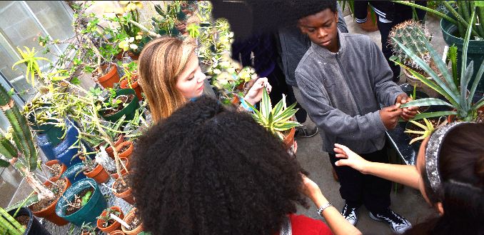 Students touch plants inside a greenhouse