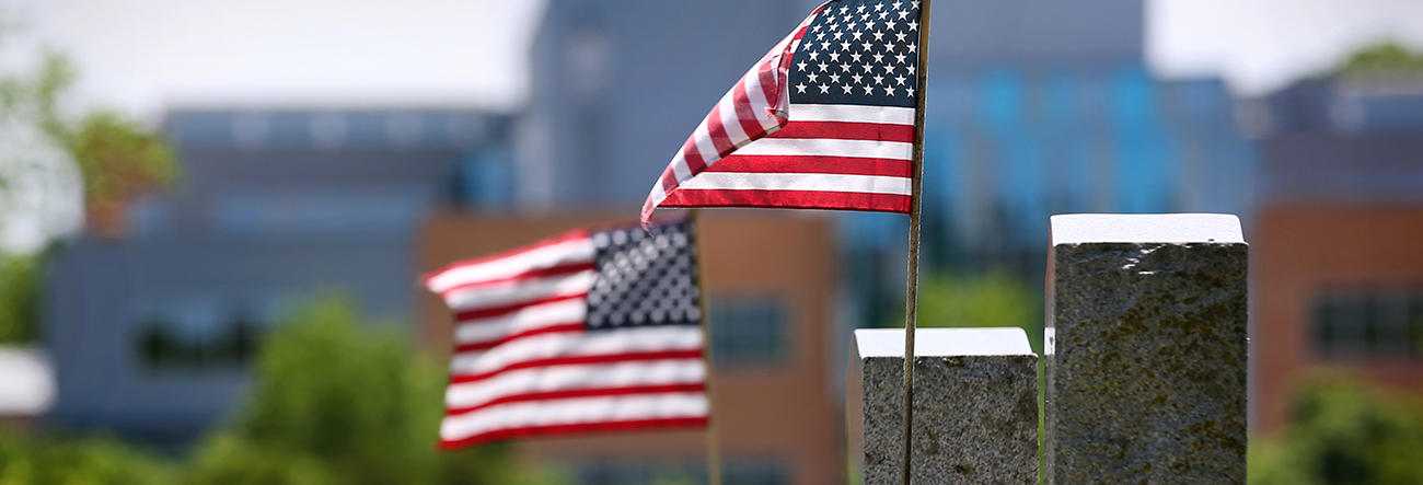 American flags waving in the breeze