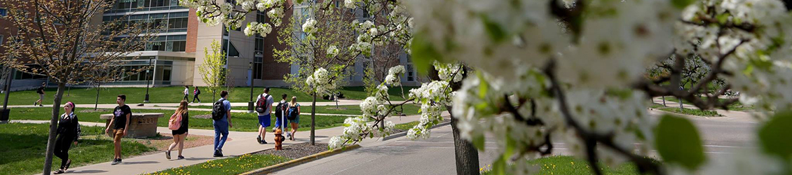 Students studying at Andersen library