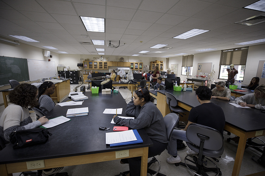 Students sit at lab tables in a classroom.