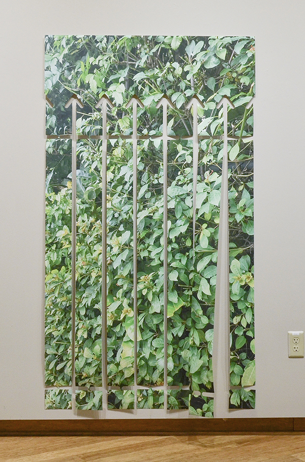 Ficus Fence Art Piece